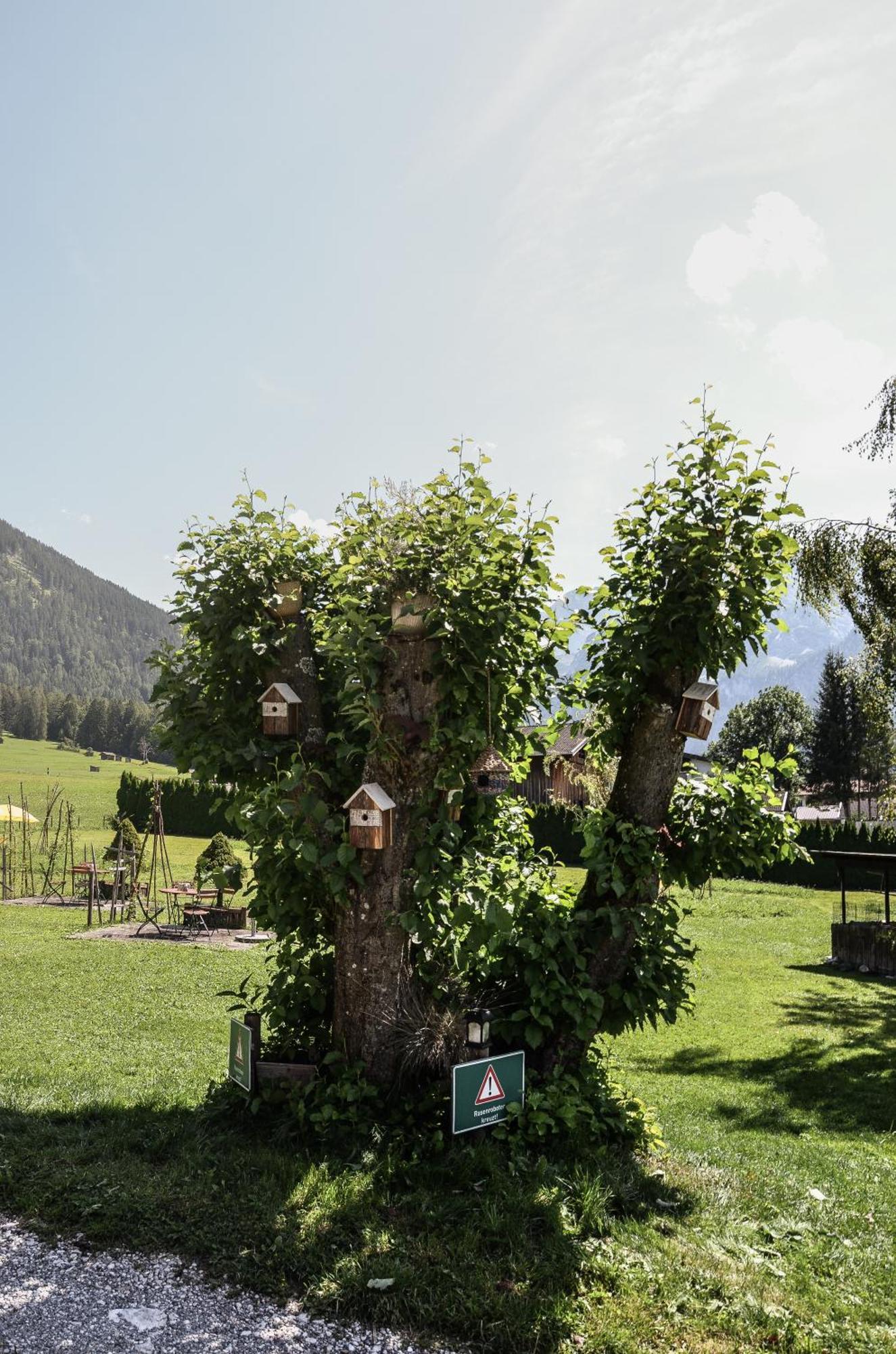 Hotel Ehrwalderhof Екстериор снимка